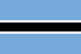 Botswanamini Flag