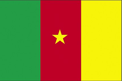Cameroon(1)