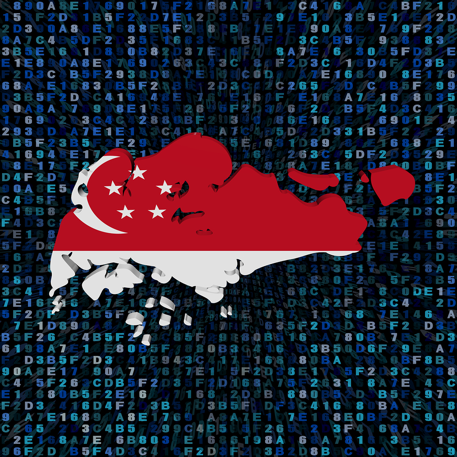 Singapore map flag on hex code 3d illustration