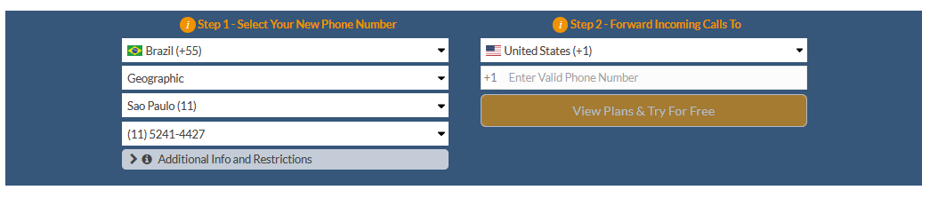 brazil virtual number