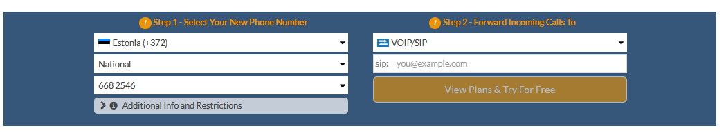 estonia virtual number