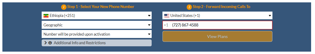 ethiopia virtual number