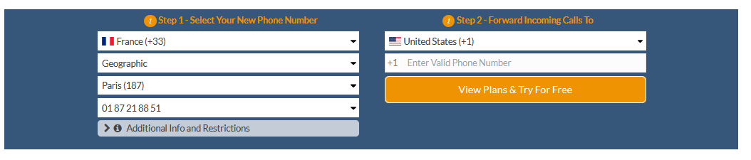 france virtual number