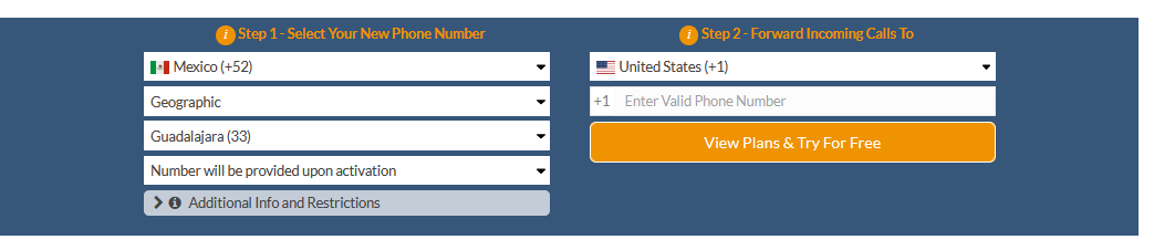 guadalajara virtual number