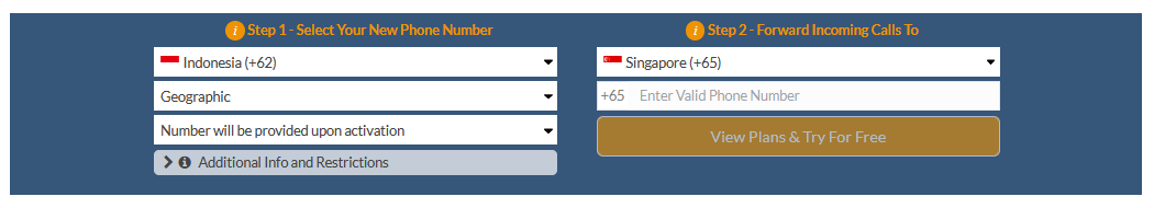 indonesia virtual number