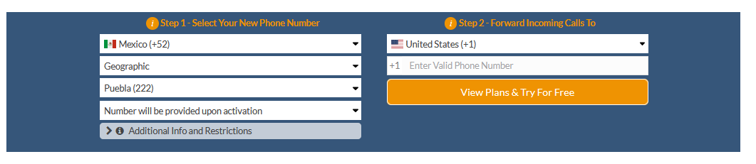 puebla virtual number