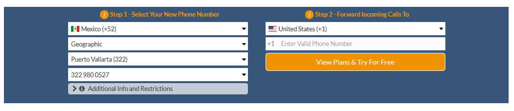 puerto vallarta virtual number