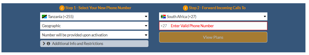 tanzania virtual number