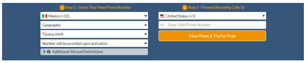 tijuana virtual number
